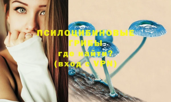 круглые Нея