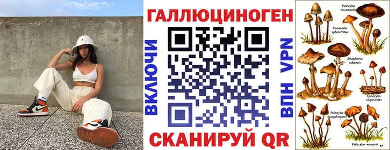 Псилоцибиновые грибы Psilocybine cubensis  Лукоянов 